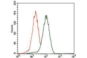 Flow cytometric analysis of HEK293 cells using PHC1 mouse mAb (green) and negative control (red).