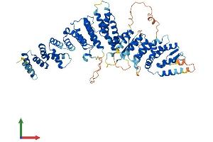 AlphaFold protein structure predicition of Human Recombinant INTS10 Protein, UniprotID Q9NVR2