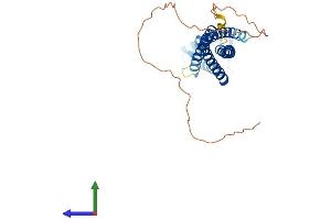 AlphaFold protein structure predicition of Human Recombinant TSPAN32 Protein, UniprotID Q96QS1