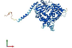 AlphaFold protein structure predicition of Mouse Recombinant Cyp4f3 Protein, UniprotID Q99N16