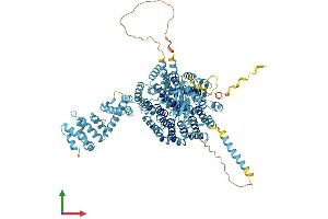 AlphaFold protein structure predicition of Mouse Recombinant Psmd1 Protein, UniprotID Q3TXS7