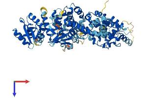 AlphaFold protein structure predicition of Mouse Recombinant Elmo2 Protein, UniprotID Q8BHL5