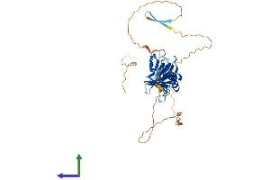 AlphaFold protein structure predicition of Human Recombinant PLEKHA1 Protein, UniprotID Q9HB21