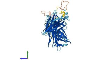 AlphaFold protein structure predicition of Mouse Recombinant Fbxo15 Protein, UniprotID Q9QZN0