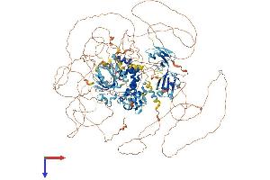 AlphaFold protein structure predicition of Human Recombinant RGS12 Protein, UniprotID O14924