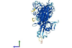 AlphaFold protein structure predicition of Mouse Recombinant Capn6 Protein, UniprotID O35646