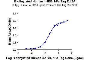 Immobilized Human 4-1BB Ligand (Trimer), His Tag at 1 μg/mL (100 μL/Well) on the plate.