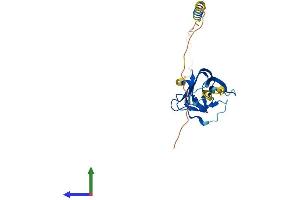 AlphaFold protein structure predicition of Mouse Recombinant Tnfsf15 Protein, UniprotID Q5UBV8