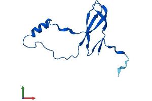 AlphaFold protein structure predicition of Human Recombinant RPL36AL Protein, UniprotID Q969Q0