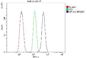 Flow Cytometry analysis of NRK cells using anti-Mtnd2 antibody (ABIN7603114).