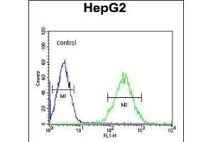 BDHA1 Antibody (Center) (ABIN651743 and ABIN2840384) flow cytometric analysis of HepG2 cells (right histogram) compared to a negative control cell (left histogram). (PDHA1 anticorps  (AA 228-255))