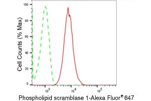 Flow cytometric analysis of Phospholipid scramblase 1 expression in HT- cells using Phospholipid scramblase 1 antibody (ABIN7799825), 1:2,000).