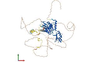 AlphaFold protein structure predicition of Mouse Recombinant Raver2 Protein, UniprotID Q7TPD6