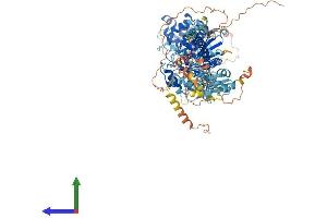 AlphaFold protein structure predicition of Human Recombinant MYO19 Protein, UniprotID Q96H55