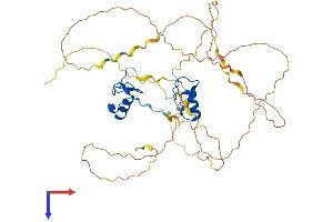 AlphaFold protein structure predicition of Human Recombinant GATA3 Protein, UniprotID P23771