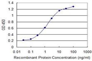 Detection limit for recombinant GST tagged ZSCAN29 is 0. (ZSCAN29 anticorps  (AA 101-199))