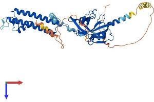 AlphaFold protein structure predicition of Human Recombinant KCNJ14 Protein, UniprotID Q9UNX9
