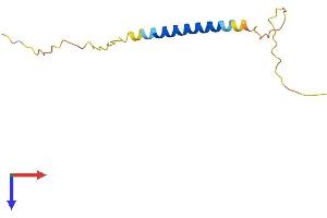 AlphaFold protein structure predicition of Human Recombinant SERTM1 Protein, UniprotID A2A2V5