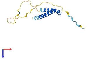 AlphaFold protein structure predicition of Human Recombinant CDK2AP2 Protein, UniprotID O75956
