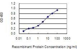 Detection limit for recombinant GST tagged MED13L is 0. (MED13L anticorps  (AA 1186-1285))