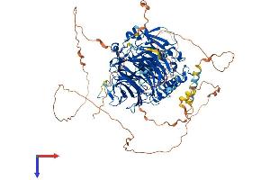 AlphaFold protein structure predicition of Mouse Recombinant Gtf3c2 Protein, UniprotID Q8BL74