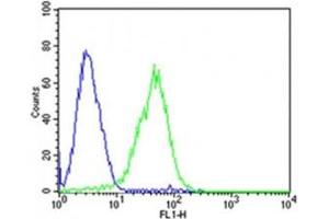 Flow cytometric analysis of HepG2 cells using Dlk1 antibody (green) compared to an isotype control of mouse IgG2b (blue)