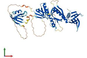 AlphaFold protein structure predicition of Mouse Recombinant Sntb2 Protein, UniprotID Q61235