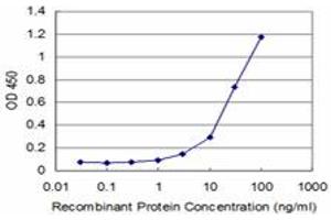 Detection limit for recombinant GST tagged DLX2 is approximately 3ng/ml as a capture antibody.