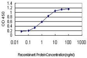 Detection limit for recombinant GST tagged ING1 is approximately 0. (ING1 anticorps  (AA 41-140))
