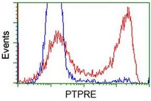 HEK293T cells transfected with either RC207950 overexpress plasmid (Red) or empty vector control plasmid (Blue) were immunostained by anti-PTPRE antibody (ABIN2453552), and then analyzed by flow cytometry. (PTPRE anticorps)