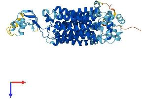 AlphaFold protein structure predicition of Mouse Recombinant Slc22a12 Protein, UniprotID Q8CFZ5