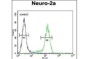 VWA3B Antibody (C-term) (ABIN654263 and ABIN2844080) flow cytometric analysis of Neuro-2a cells (right histogram) compared to a negative control cell (left histogram). (VWA3B anticorps  (C-Term))