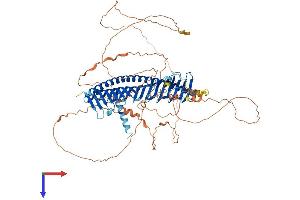 AlphaFold protein structure predicition of Mouse Recombinant Jph3 Protein, UniprotID Q9ET77