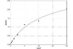 A typical standard curve (HLA-C Kit ELISA)
