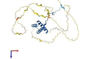AlphaFold protein structure predicition of Mouse Recombinant Hoxa4 Protein, UniprotID P06798