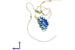 AlphaFold protein structure predicition of Mouse Recombinant Prr5l Protein, UniprotID A2AVJ5