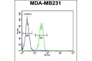 Flow cytometric analysis of MDA-MB231 cells (right histogram) compared to a negative control cell (left histogram). (B4GALT6 anticorps  (C-Term))