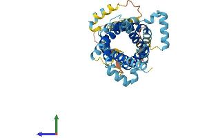 AlphaFold protein structure predicition of Human Recombinant SLC25A39 Protein, UniprotID Q9BZJ4