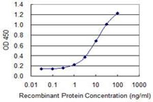 Detection limit for recombinant GST tagged FMN2 is 0. (Formin 2 anticorps  (AA 144-243))