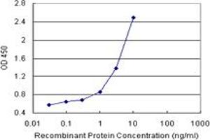 Sandwich ELISA detection sensitivity ranging from 1 ng/mL to 100 ng/mL. (SNCA (Humain) Matched Antibody Pair)