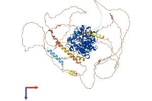 AlphaFold protein structure predicition of Mouse Recombinant Hdac7 Protein, UniprotID Q8C2B3