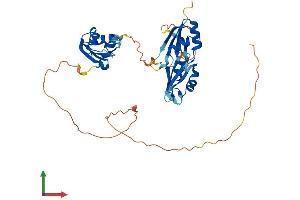 AlphaFold protein structure predicition of Mouse Recombinant Tia1 Protein, UniprotID P52912