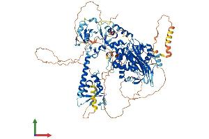 AlphaFold protein structure predicition of Human Recombinant USP20 Protein, UniprotID Q9Y2K6