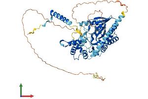 AlphaFold protein structure predicition of Human Recombinant GNL3 Protein, UniprotID Q9BVP2
