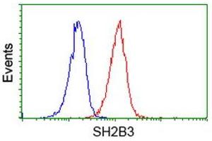Image no. 1 for anti-SH2B Adaptor Protein 3 (SH2B3) antibody (ABIN1500908) (SH2B3 anticorps)