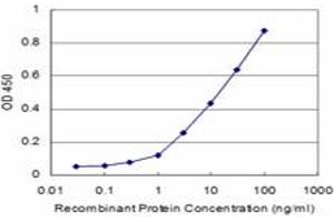 Detection limit for recombinant GST tagged PRKCD is approximately 1ng/ml as a capture antibody. (PKC delta anticorps  (AA 577-676))