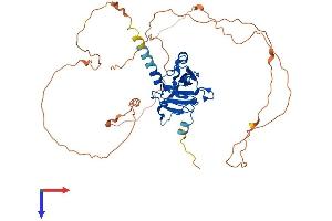 AlphaFold protein structure predicition of Mouse Recombinant Gcm1 Protein, UniprotID P70348