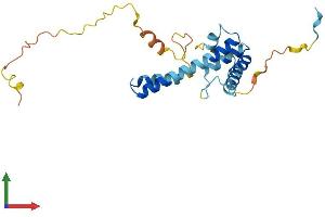 AlphaFold protein structure predicition of Mouse Recombinant Mreg Protein, UniprotID Q6NVG5