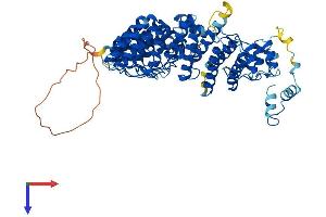 AlphaFold protein structure predicition of Human Recombinant FEM1A Protein, UniprotID Q9BSK4