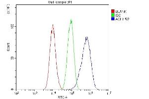 Flow Cytometry analysis of A549 cells using anti-ATP citrate lyase antibody (ABIN6719406).